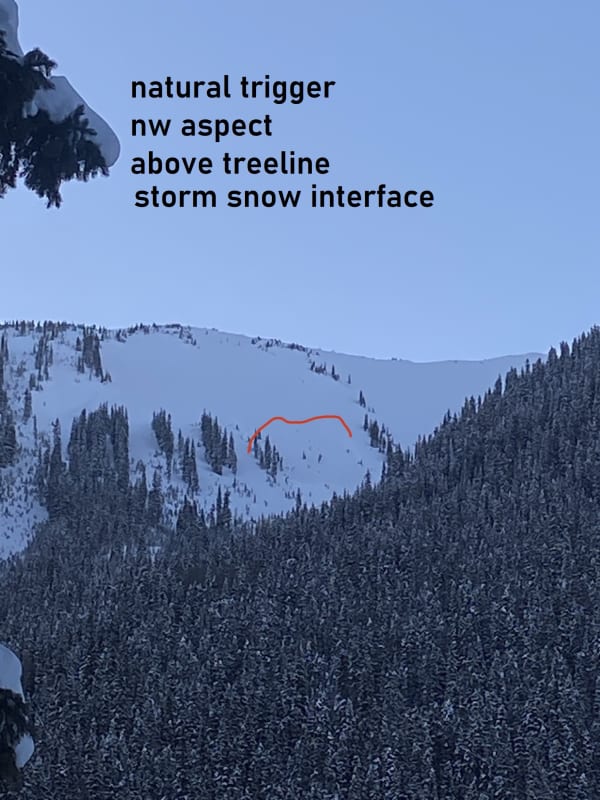 Observation photo 1