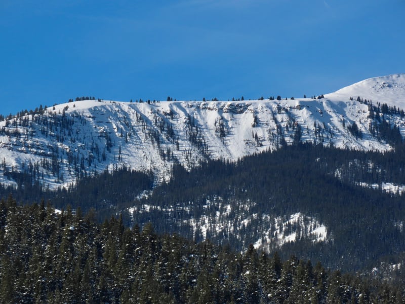 Observation photo 2