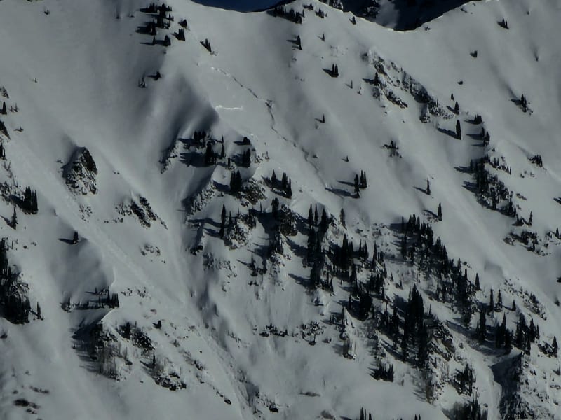 Observation photo 5