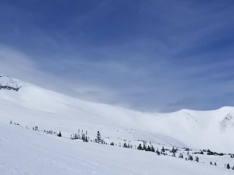 Observation photo 2