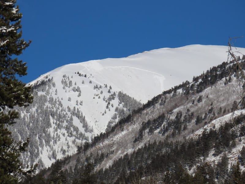 Observation photo 1