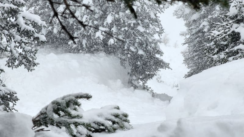 Observation photo 4