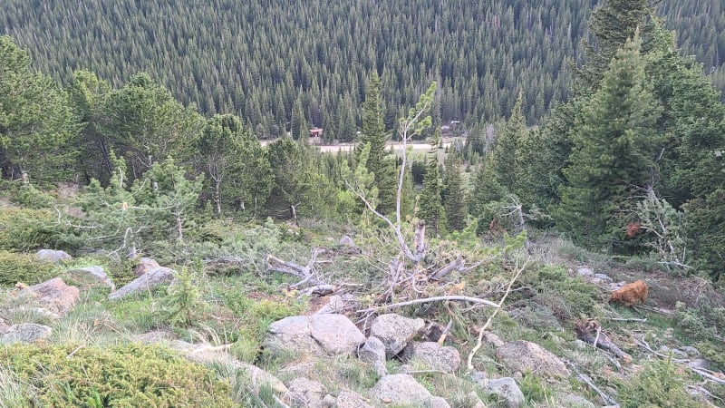 Observation photo 1