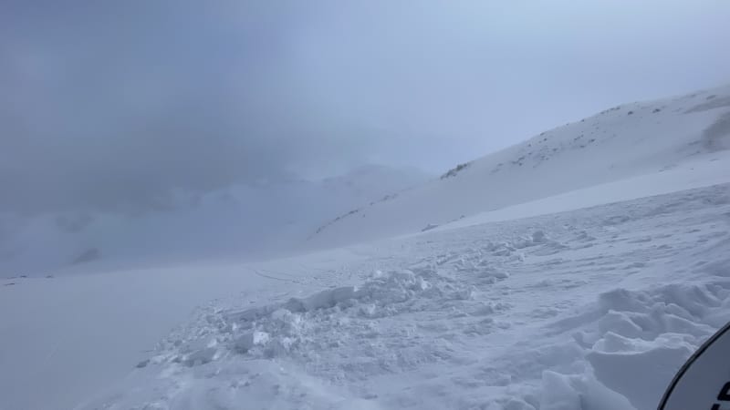 Observation photo 2