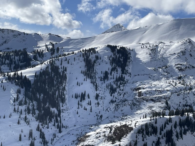 Observation photo 1