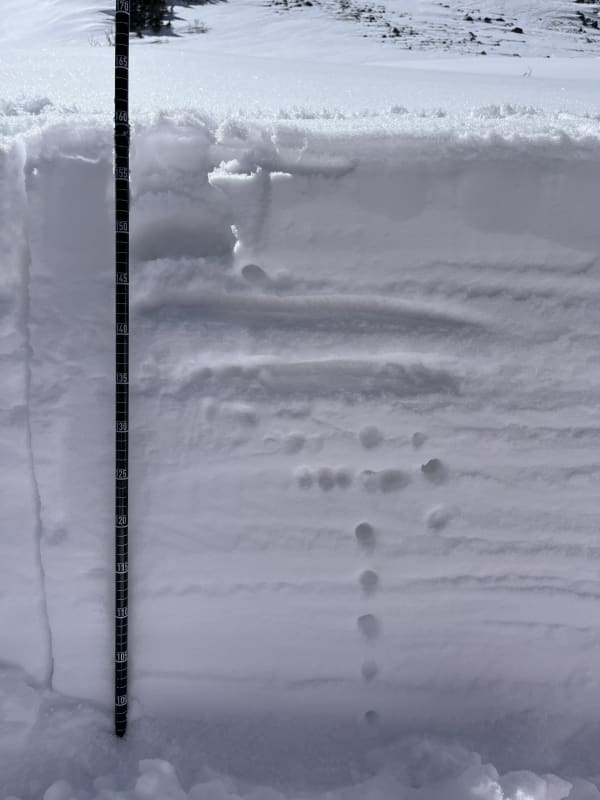 Observation photo 1