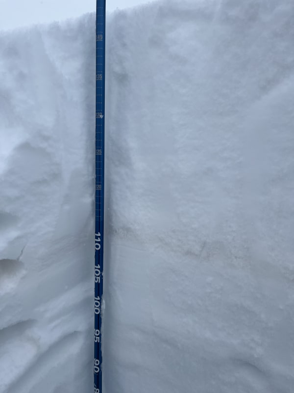 Observation photo 1