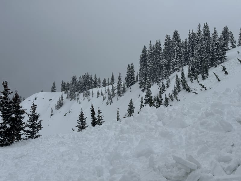 Observation photo 2
