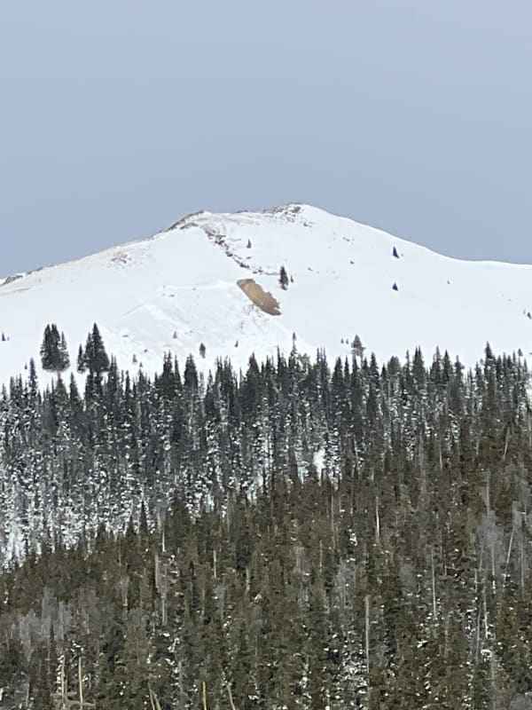 Observation photo 1