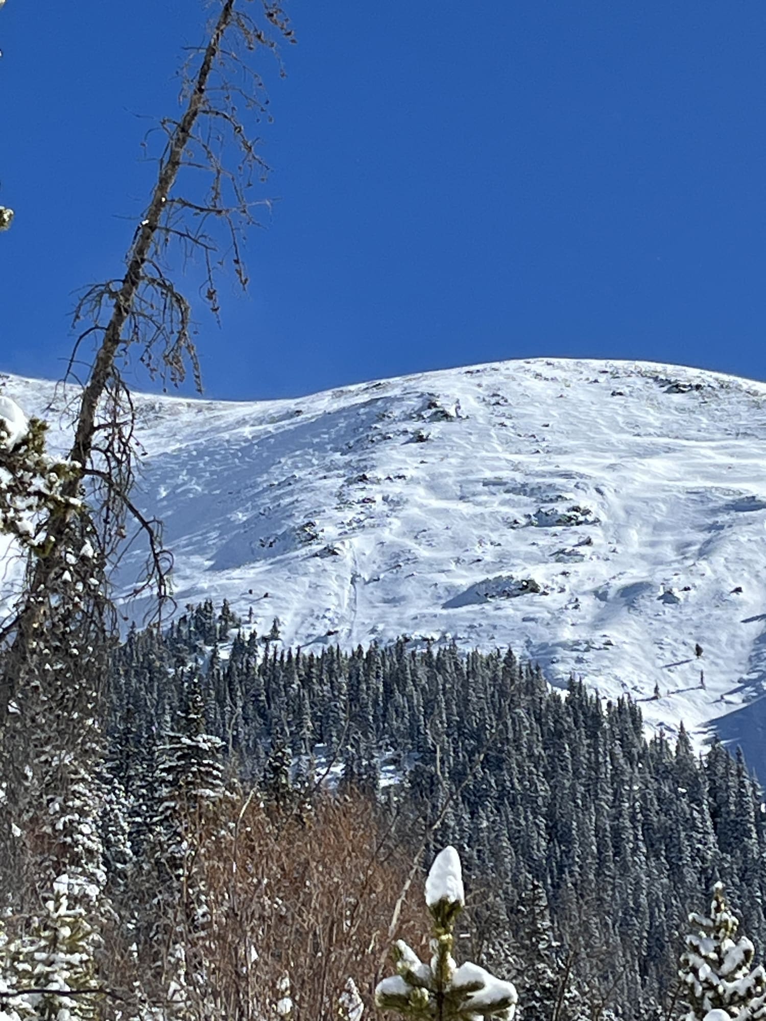 Observation photo