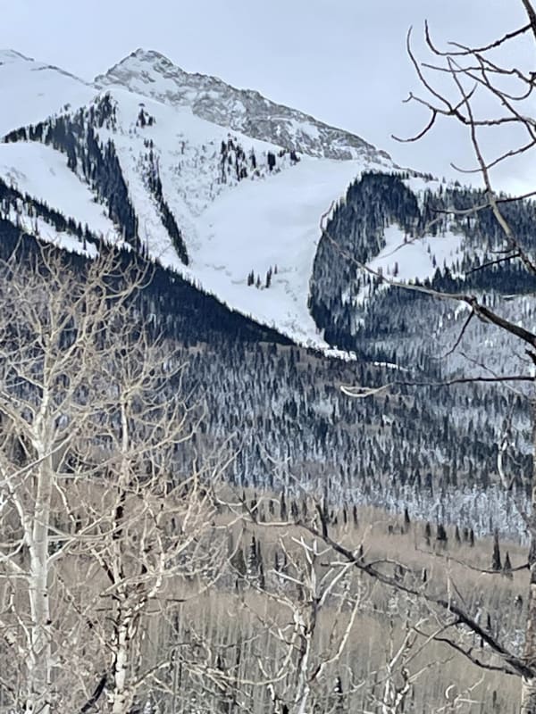 Observation photo 1