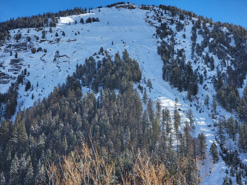 Observation photo 1