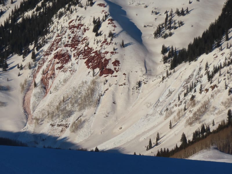 Observation photo 4