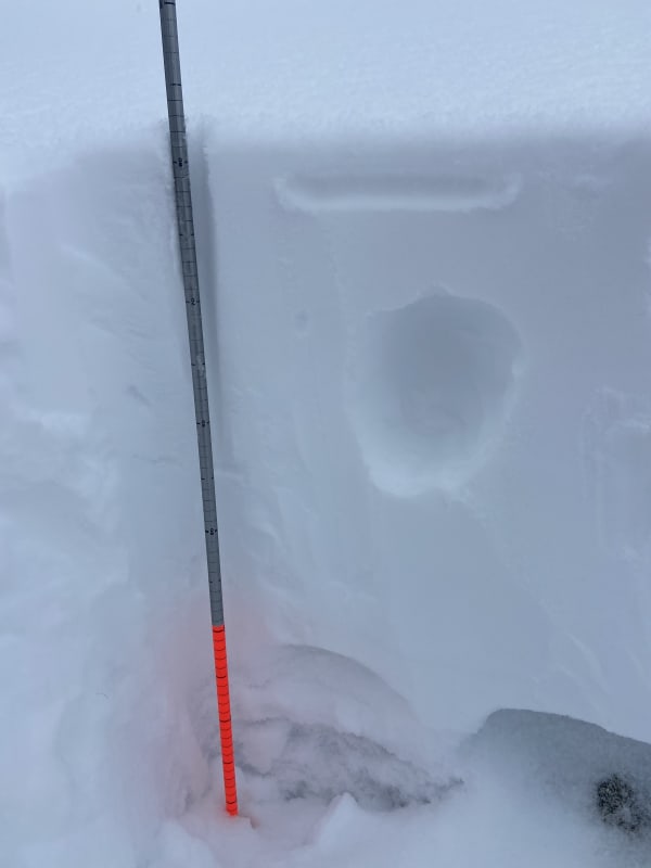 Observation photo 1