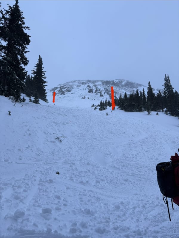 Observation photo 4