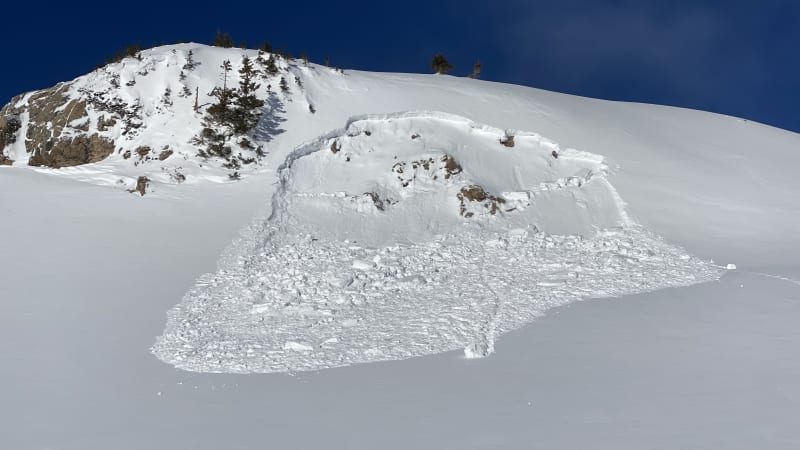 Observation photo 1