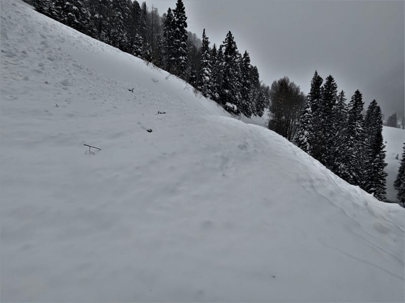 Observation photo 3