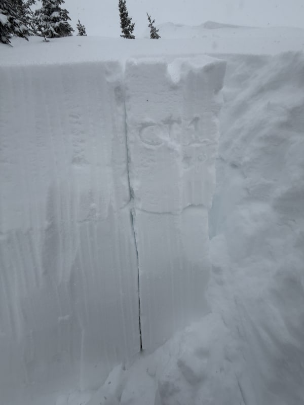 Observation photo 5