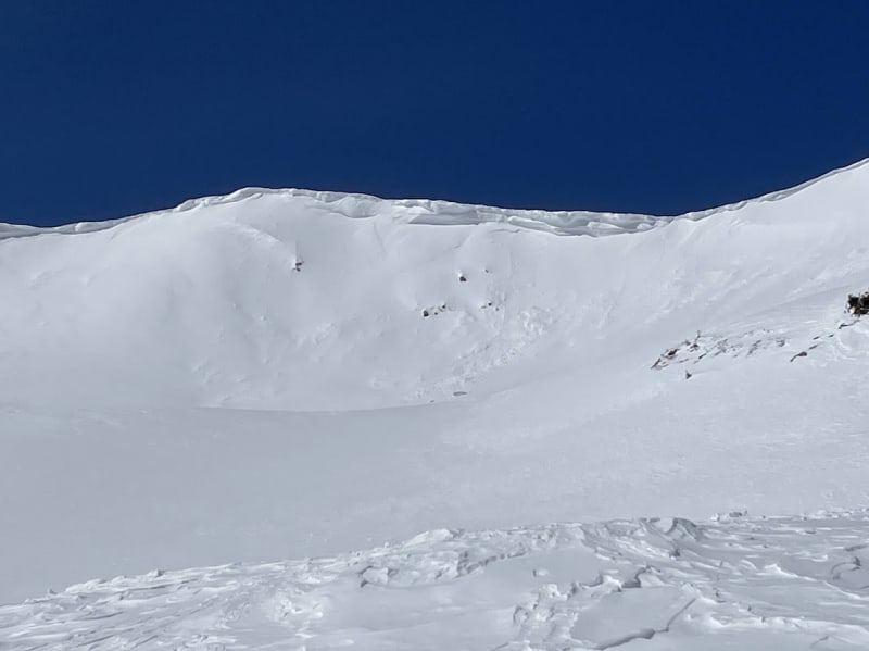 Observation photo 4
