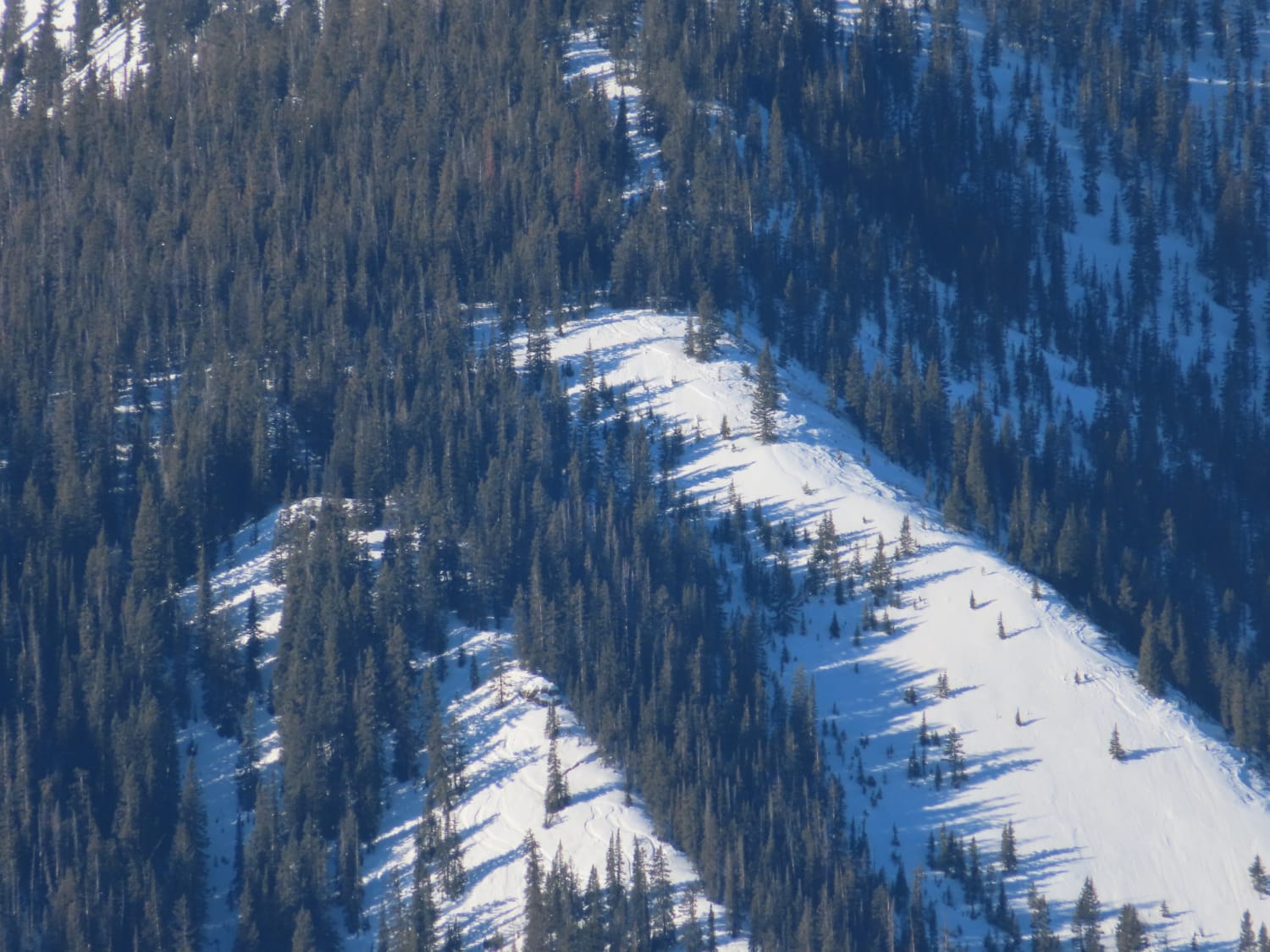 Observation photo