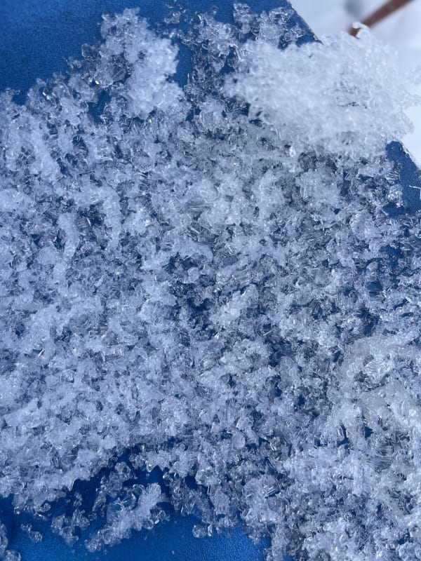 Observation photo 5