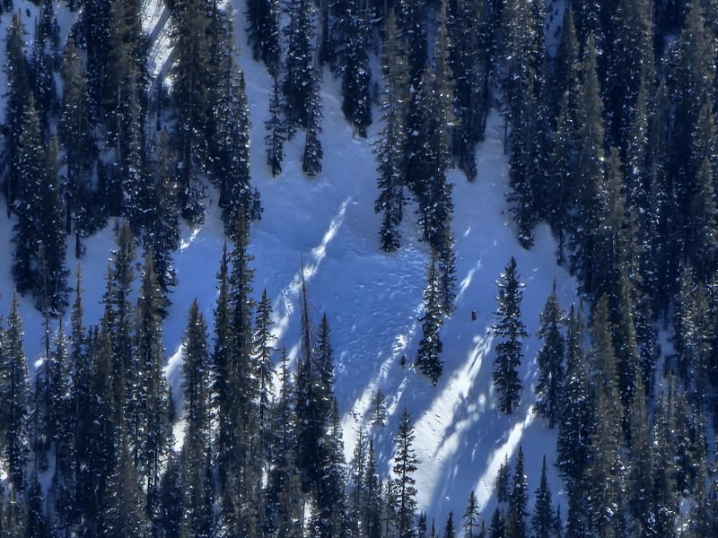 Observation photo 7