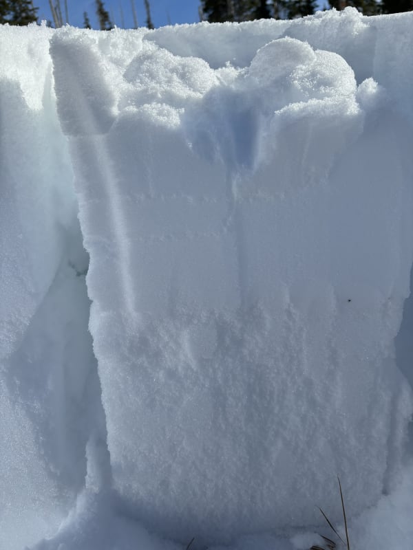 Observation photo 3