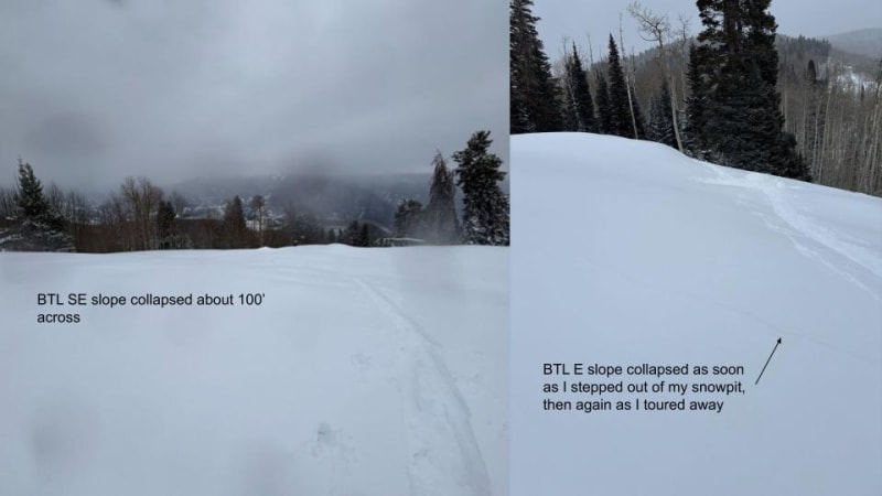 Observation photo 4