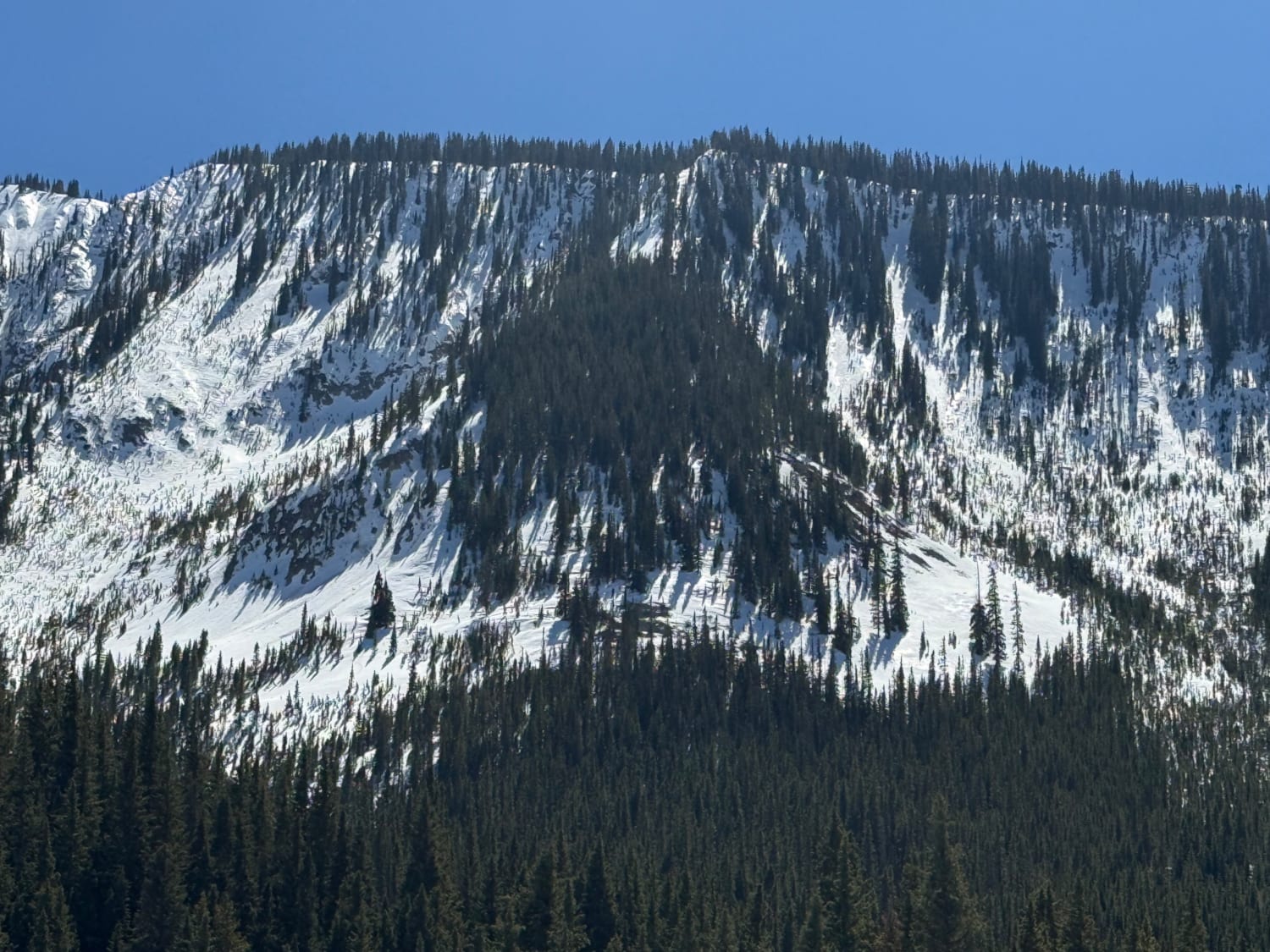 Observation photo