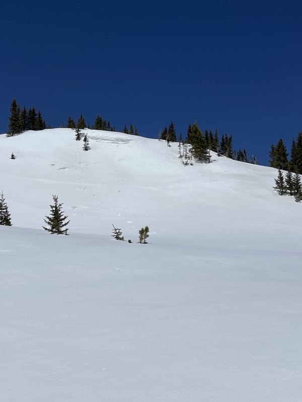 Observation photo 3