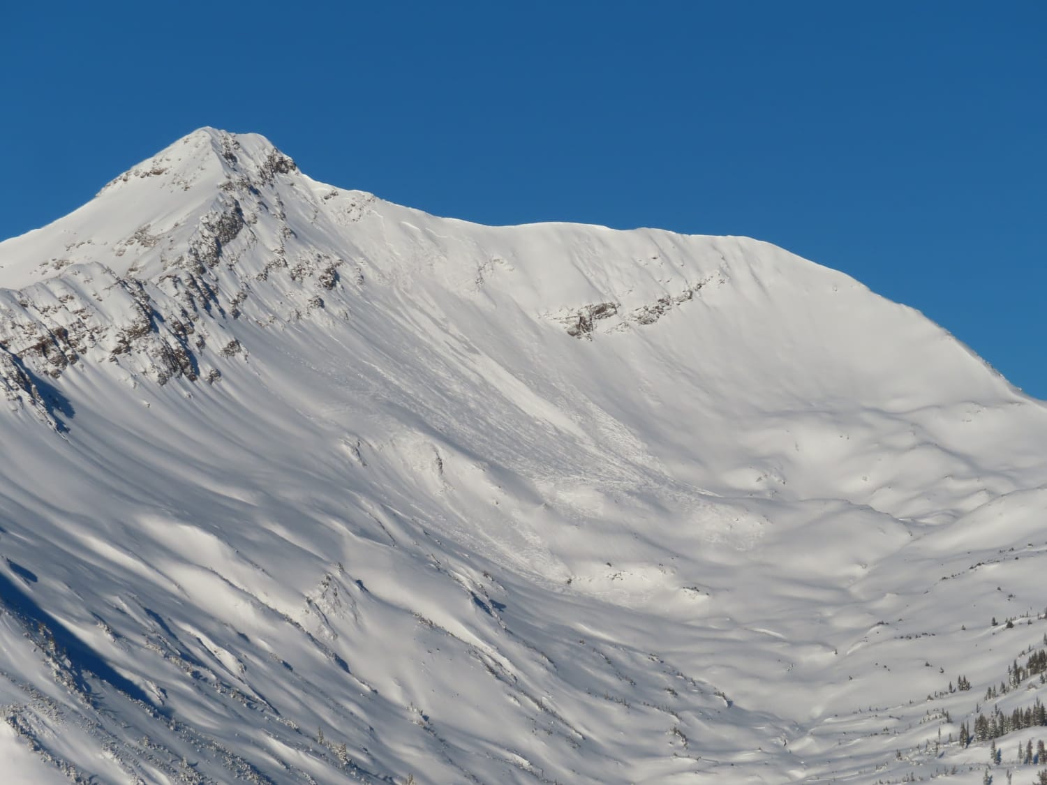 Observation photo