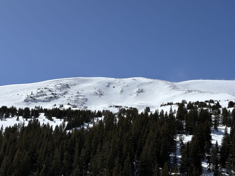 Observation photo 3