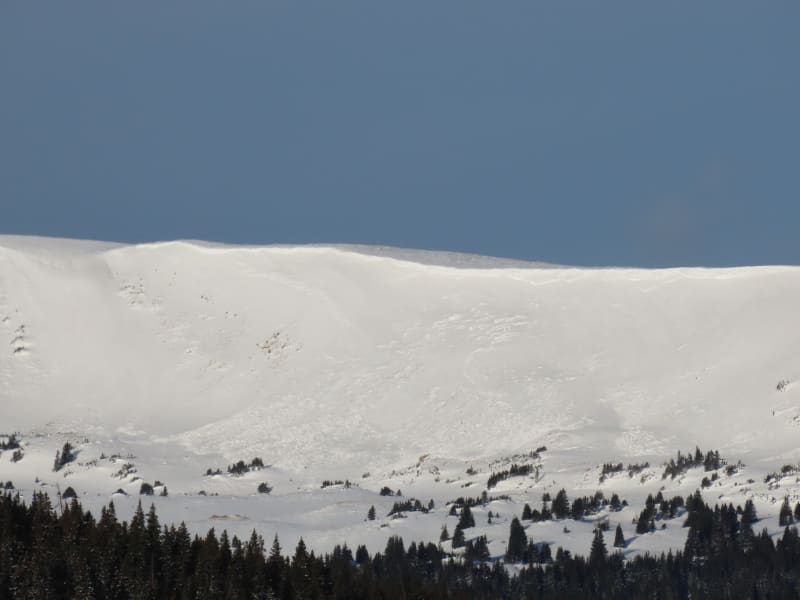Observation photo 2