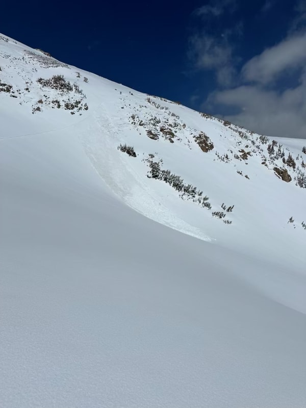 Observation photo 1