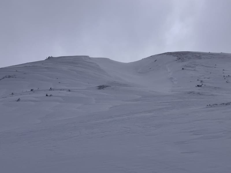 Observation photo 3