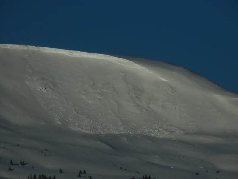 Observation photo 1