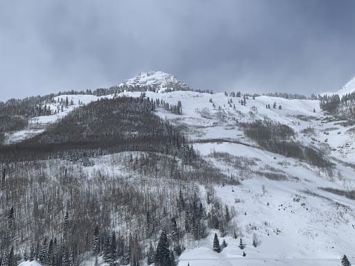 Observation photo 1