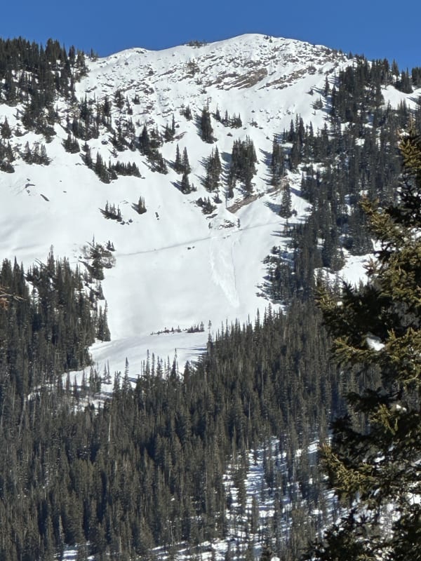 Observation photo 1