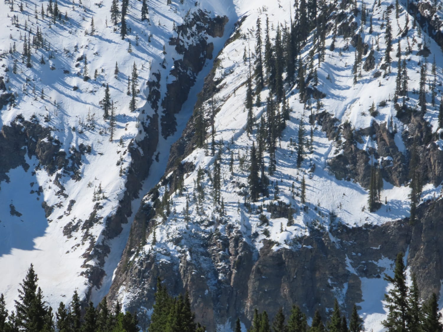 Observation photo