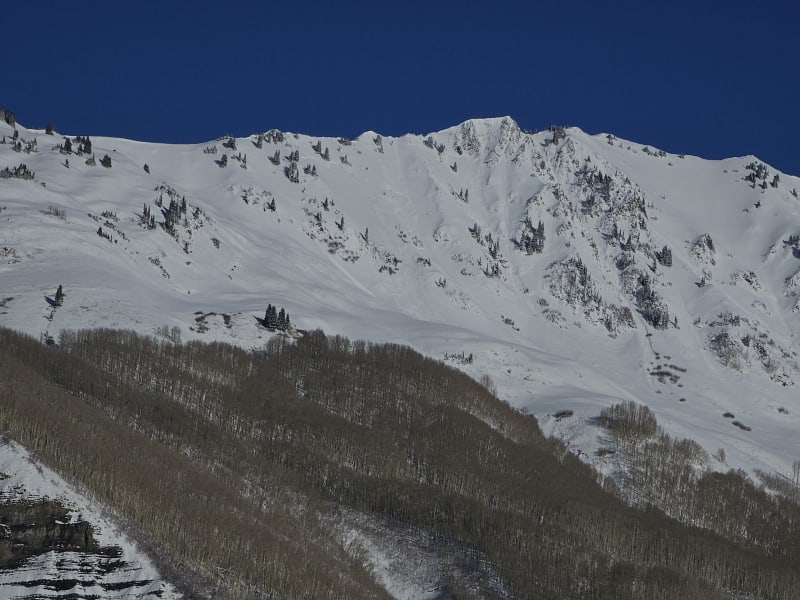 Observation photo 1
