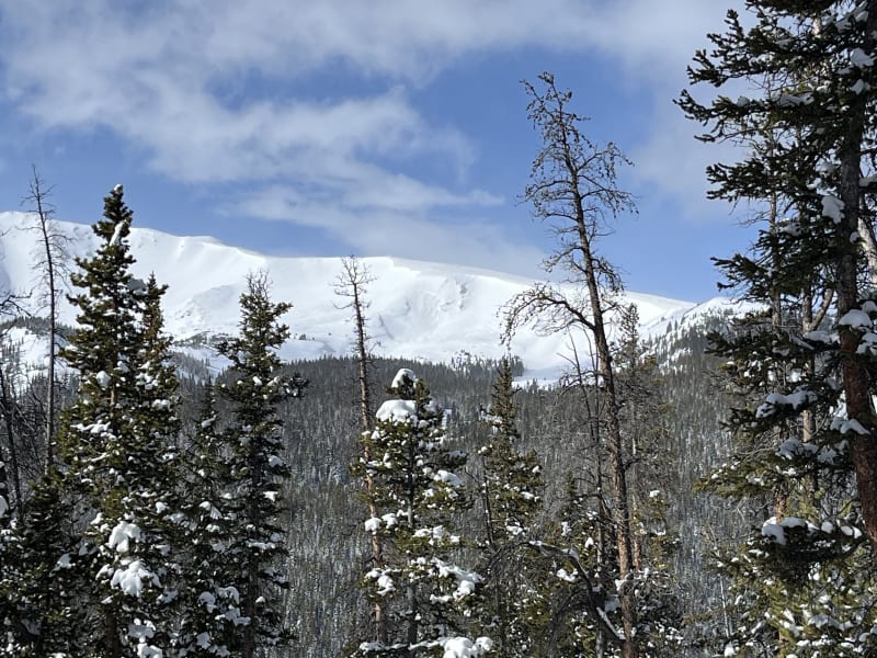 Observation photo 5