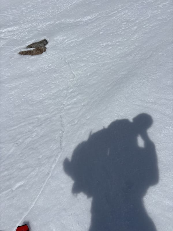 Observation photo 2