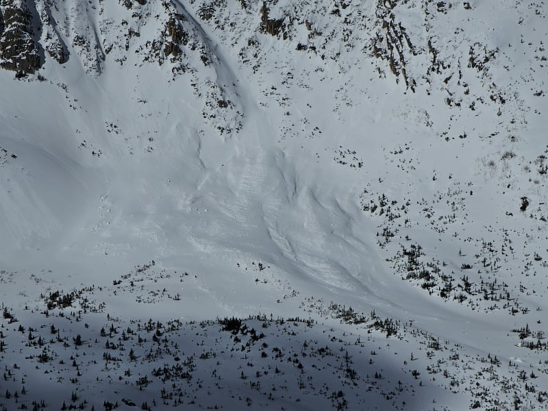 Observation photo 12