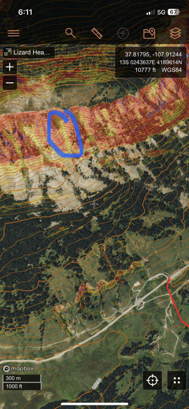 Observation photo 2