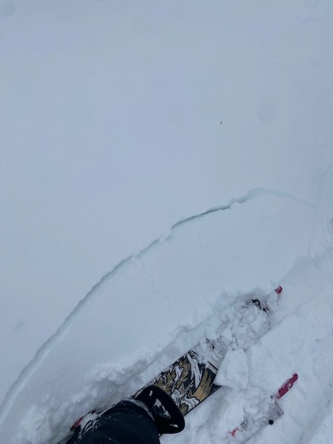 Observation photo 1