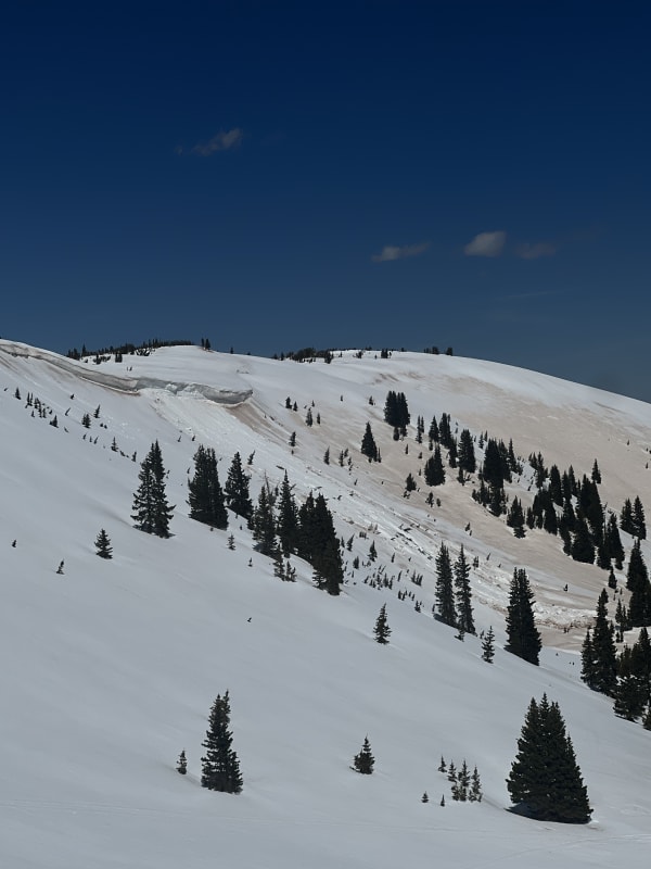 Observation photo 1