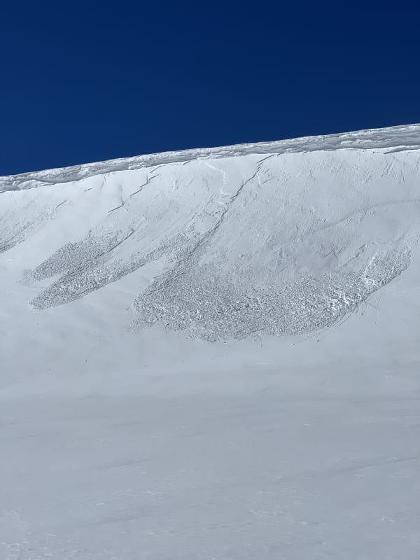 Observation photo 1