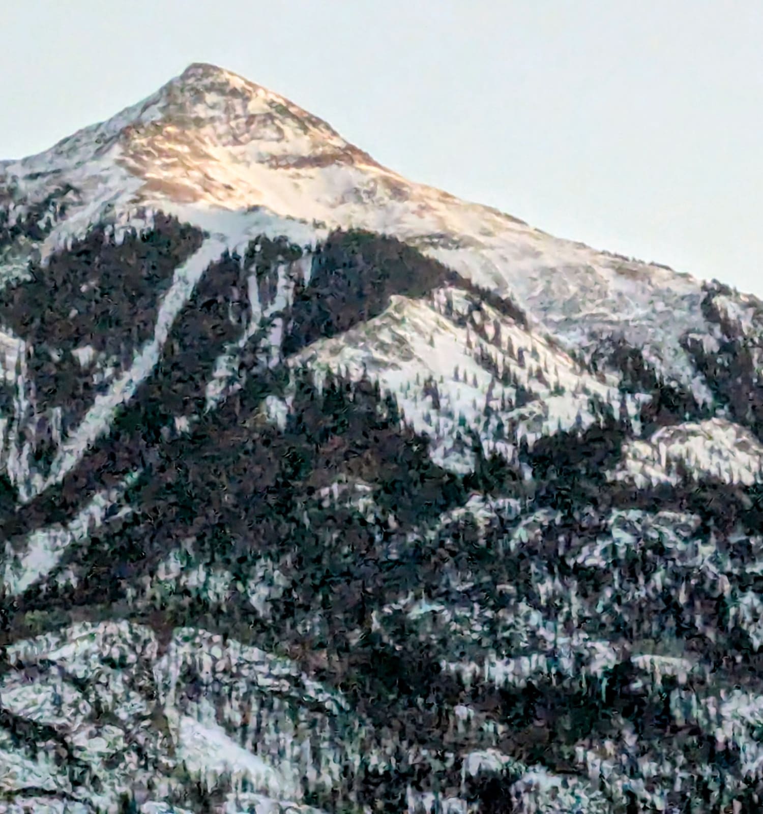 Observation photo