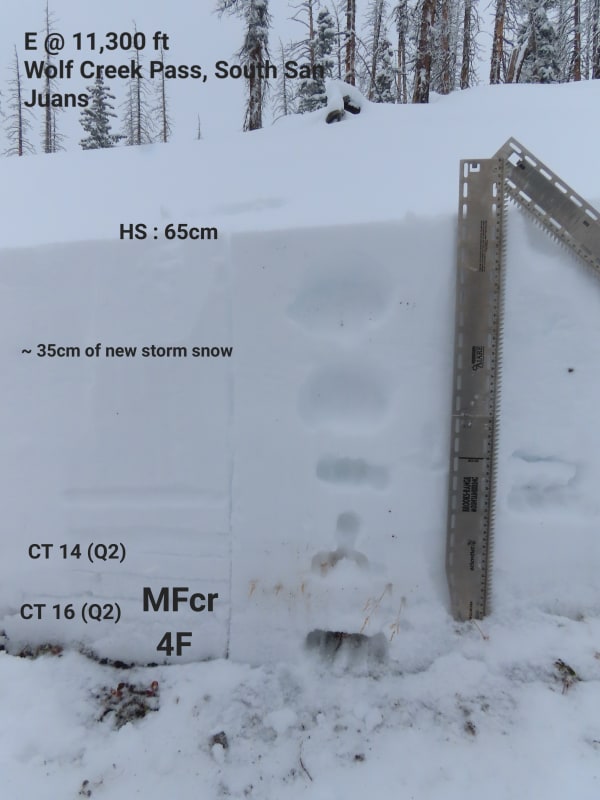 Observation photo 1