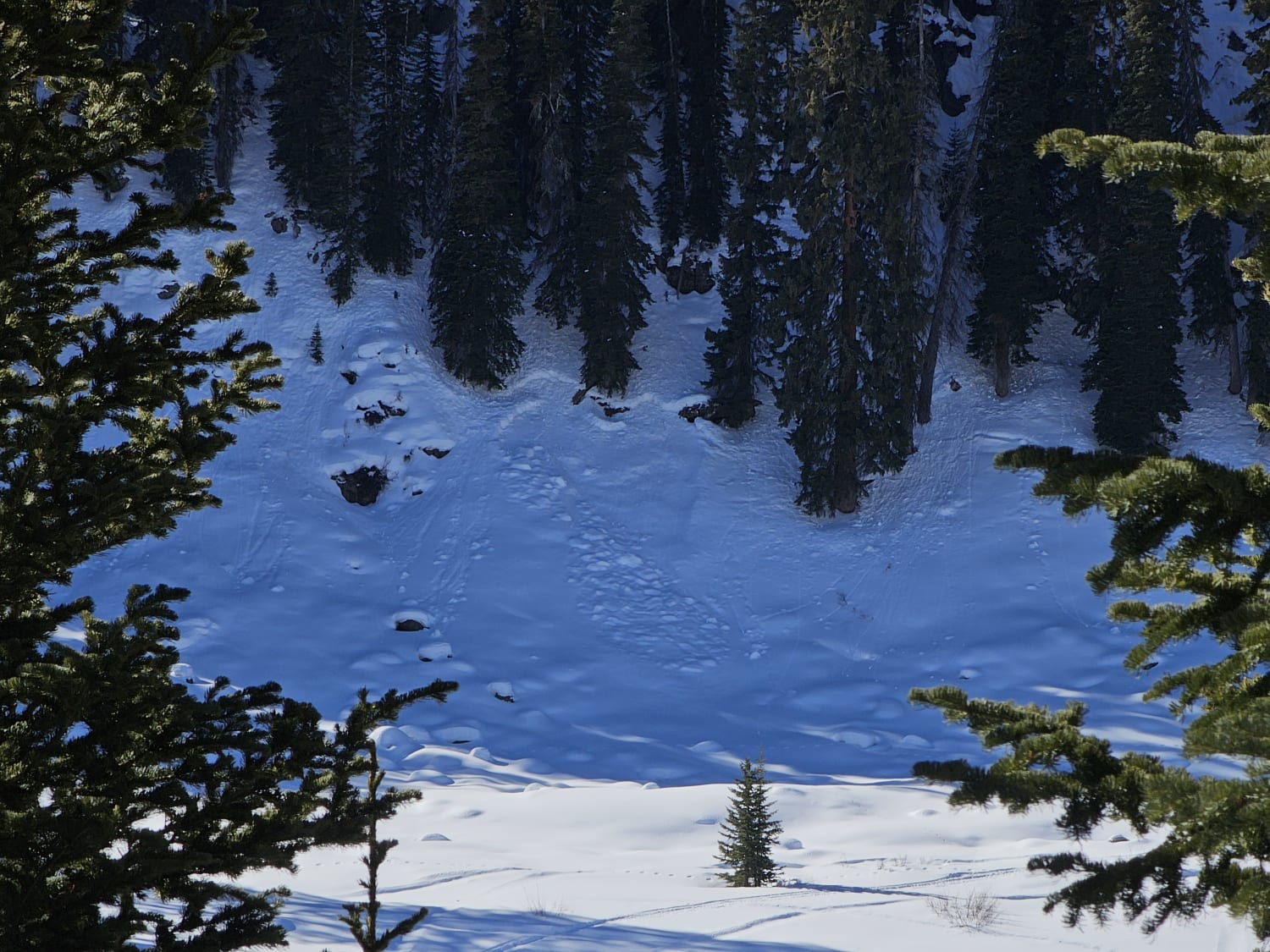 Observation photo
